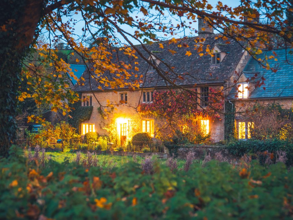 A vibrant winter garden landscape perfectly framed by a cosy home window view