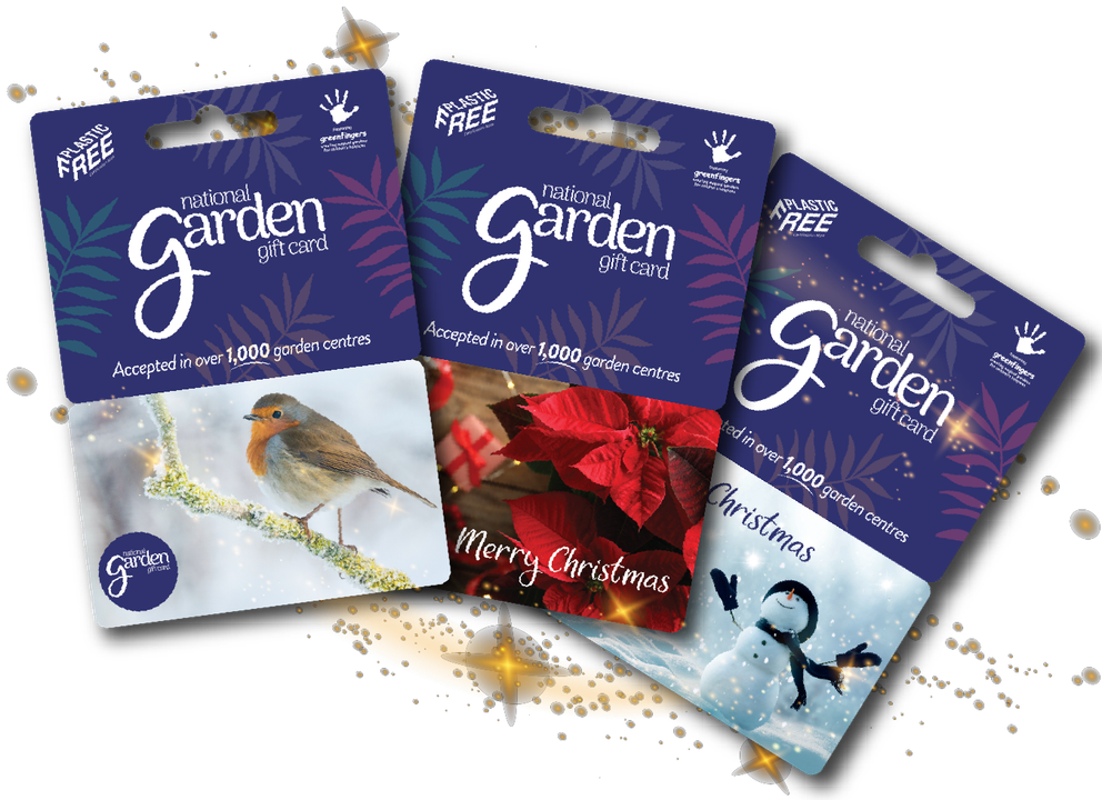 Christmas Gift Cards 648x470