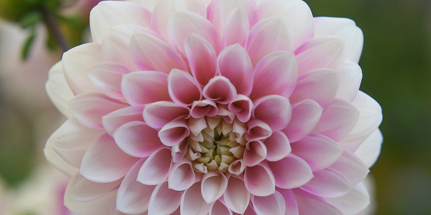 Hero Background - 319