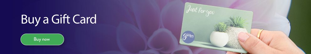 Buy gift card leaderboard banner