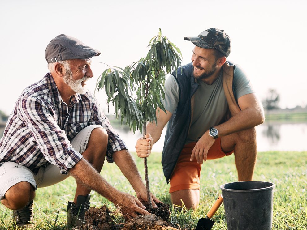 Fathers day planting a tree