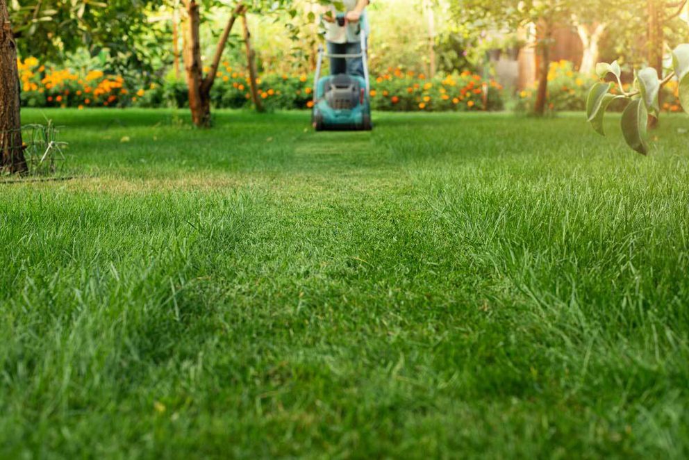 Mowing paths through longer grass for no mow may