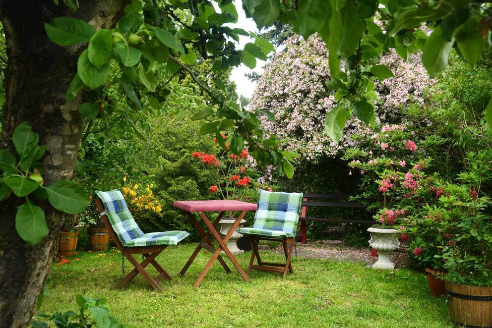 Relaxing late spring garden