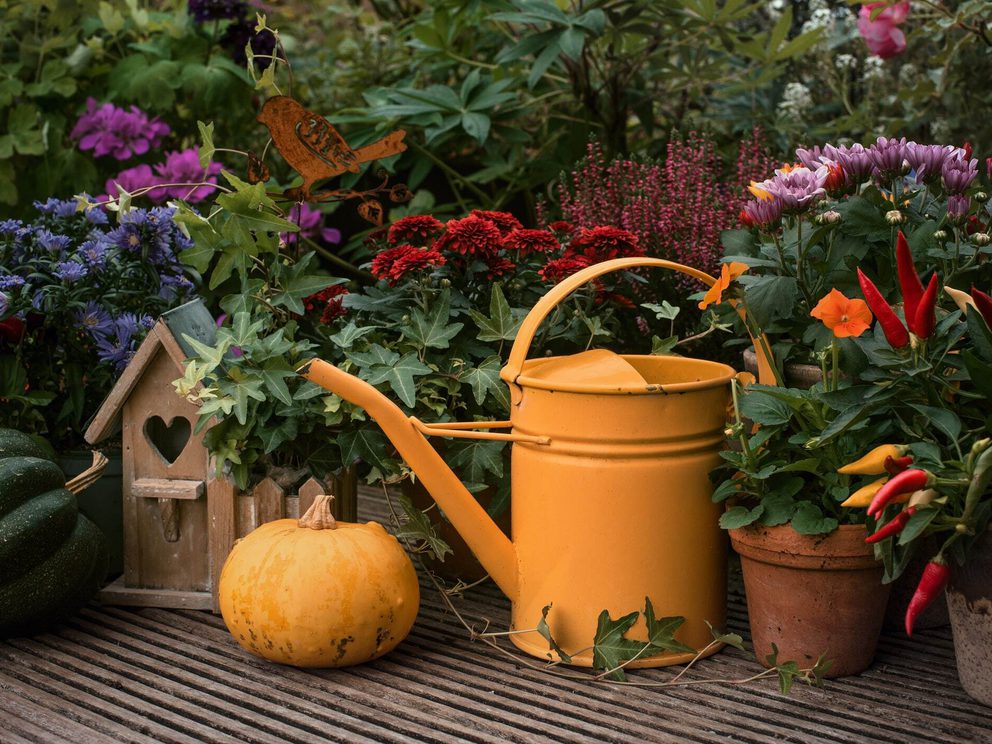 Gardening in October