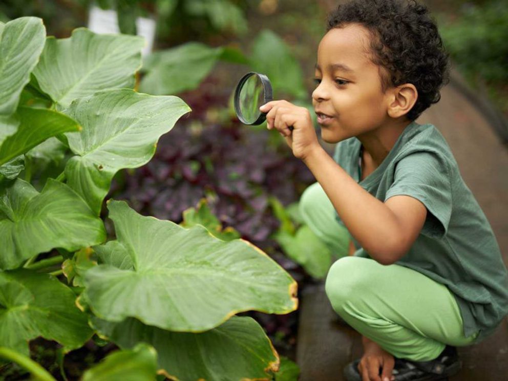 Child with magnifying glass