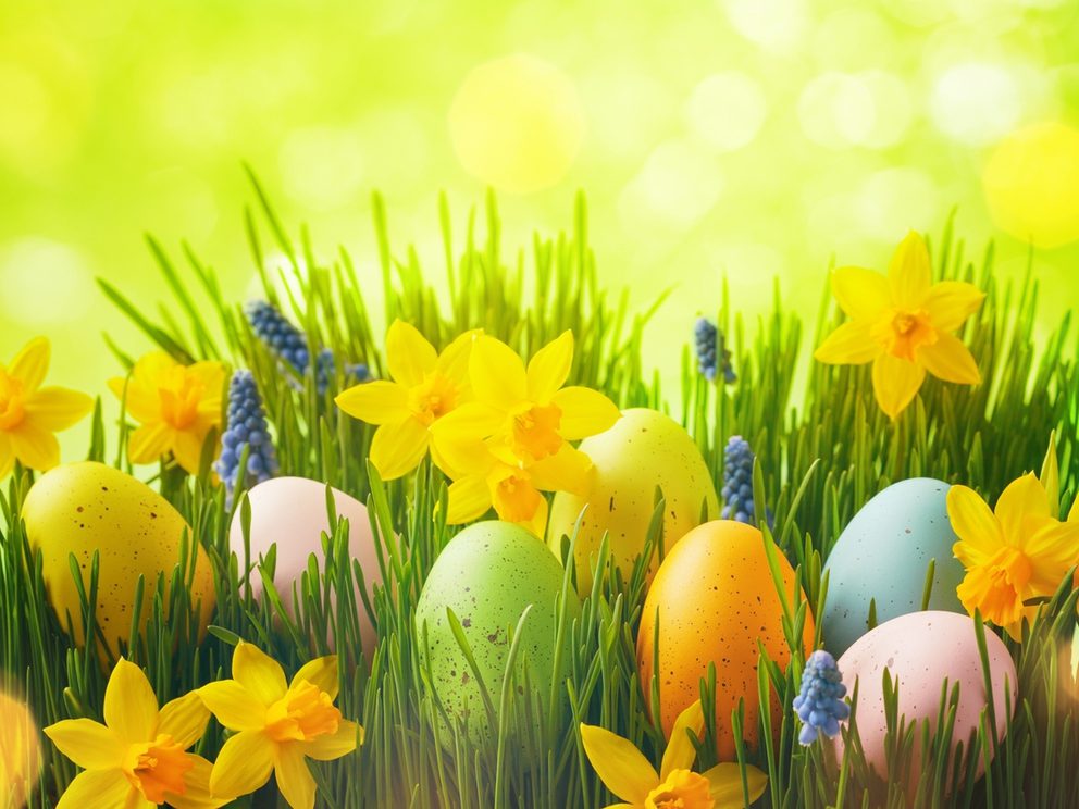 Easter gardening gifts