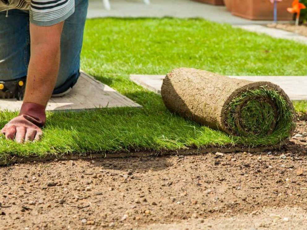 Laying turf