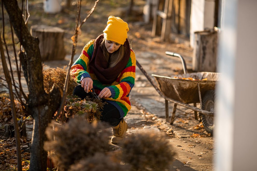 I Stock 1080240812 min